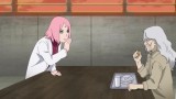 Sasuke's Story: The Sky that Fell to the Earth